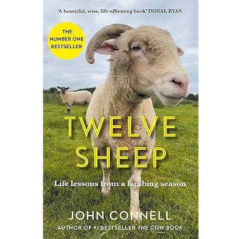 Twelve Sheep